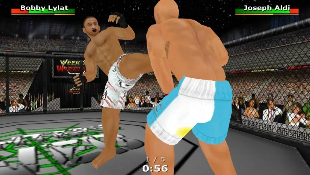 Weekend Warriors MMA — скриншот 1