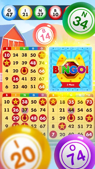 Bingo Country Boys: Tournament — скриншот 2