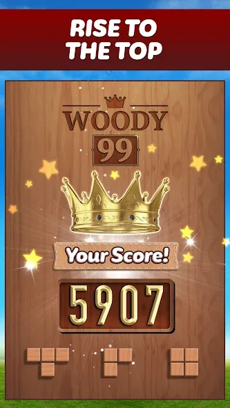 Woody 99 - Sudoku Block Puzzle — скриншот 5
