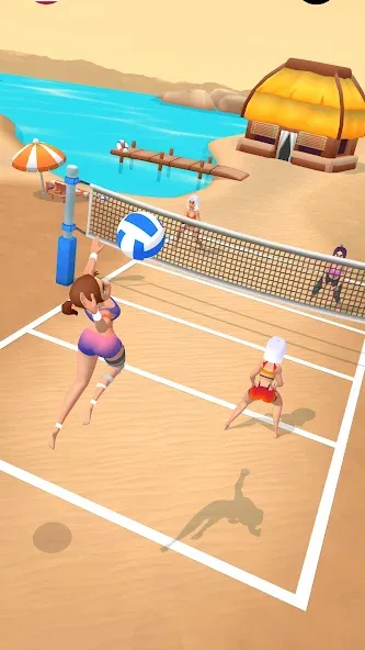 Beach Volleyball Game — скриншот 1 Beach Volleyball Game — скриншот 1