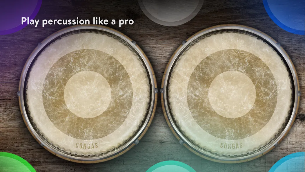 Congas & Bongos: percussion — скриншот 1
