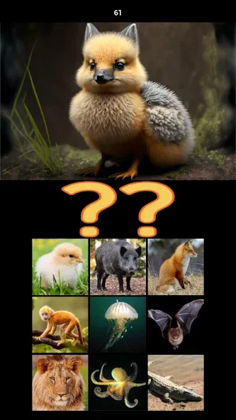 Hybrid Animals Crazy Lab Quiz — скриншот 3