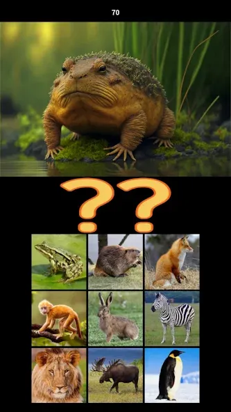 Hybrid Animals Crazy Lab Quiz — скриншот 4