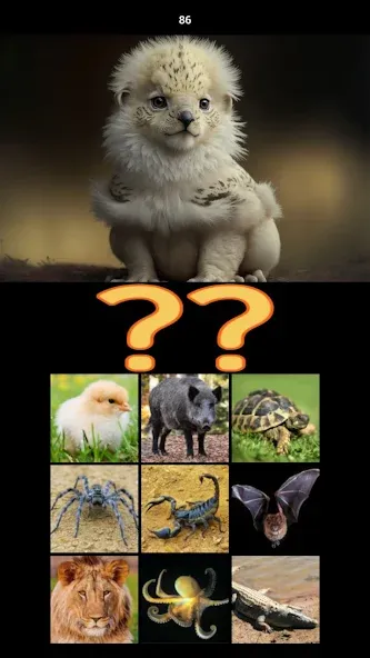 Hybrid Animals Crazy Lab Quiz — скриншот 5