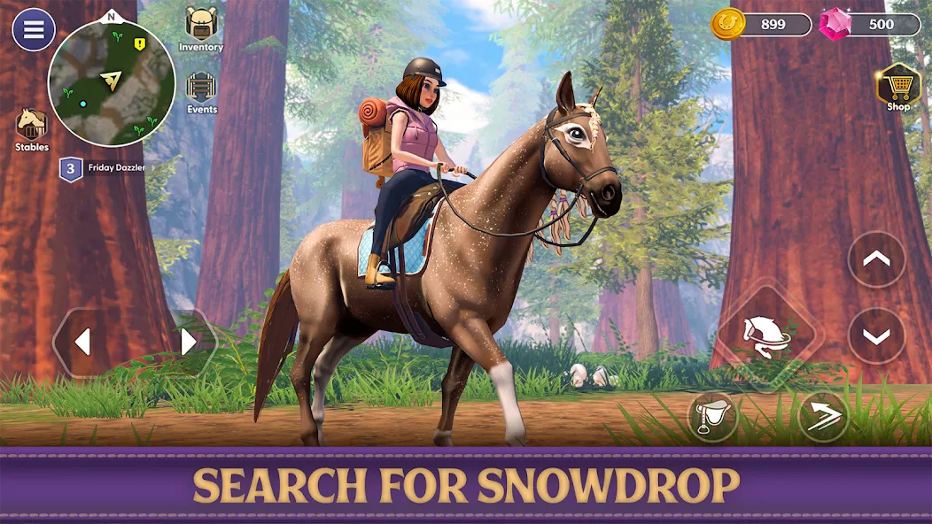 Star Equestrian - Horse Ranch — скриншот 3