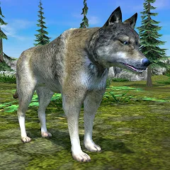 Wolf Simulator - Animal Games — МОД Много денег