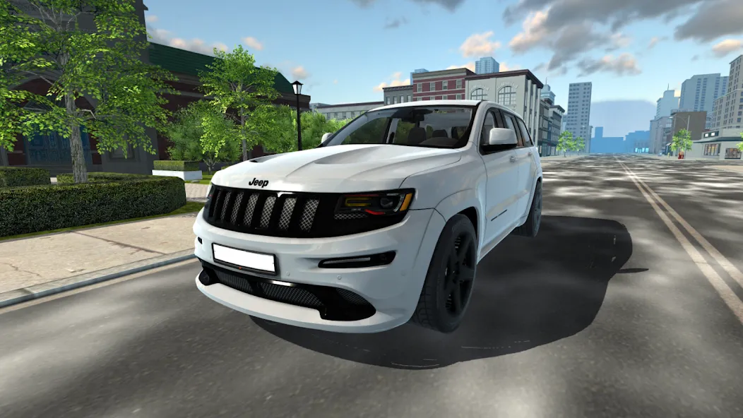 Oper Auto — скриншот 1