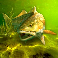 Скачать My Fishing World — MOD на Андроид — Много денег