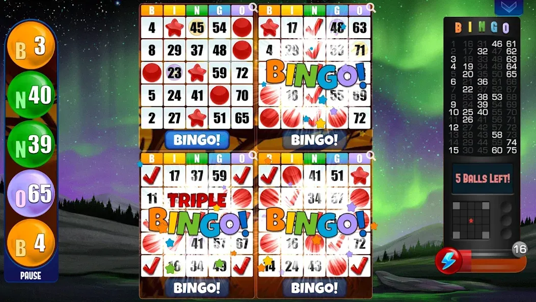 Absolute Bingo — скриншот 2 Absolute Bingo — скриншот 2