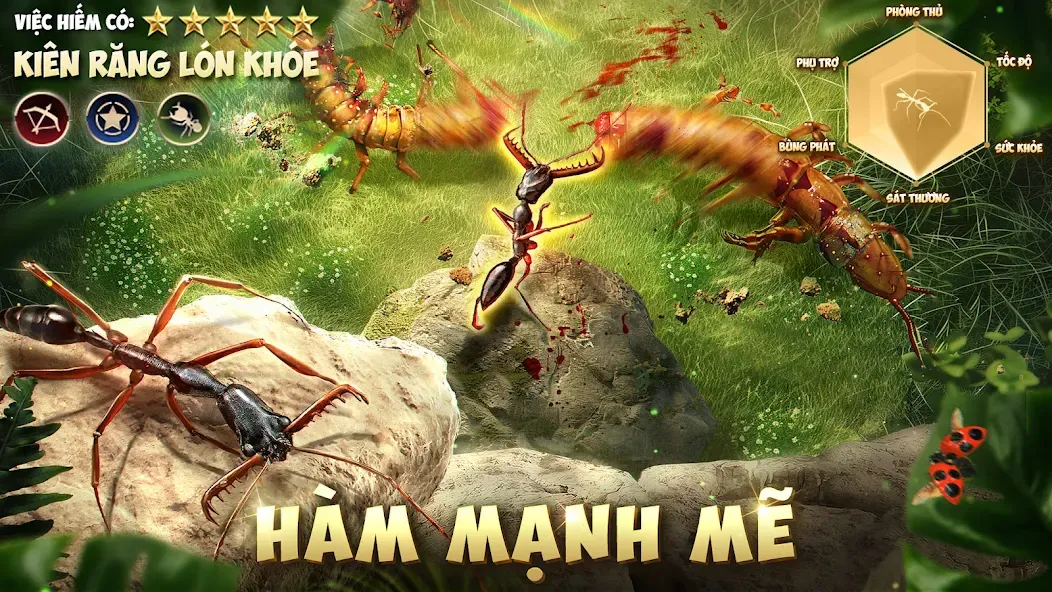 Vương Quốc Kiến - Gamota — скриншот 5