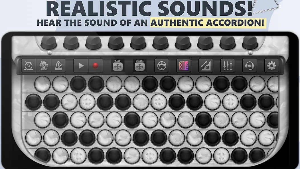 Accordion Chromatic Button — скриншот 1