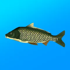 True Fishing. Simulator - MOD Много денег
