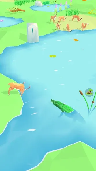 Animal Wildlife — скриншот 1