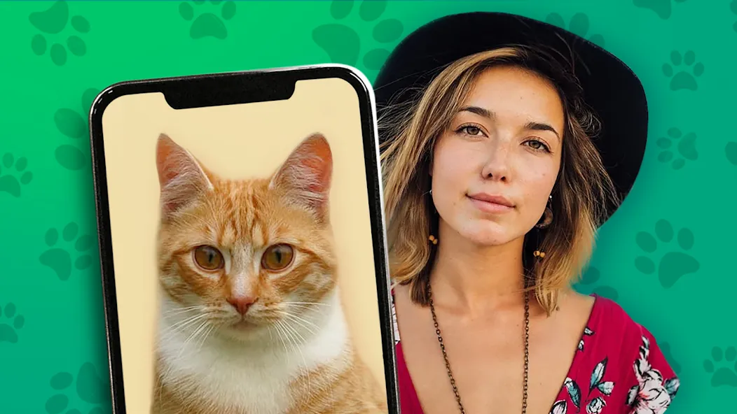 Kitten: what cat are you? joke — скриншот 1 Kitten: what cat are you? joke — скриншот 1
