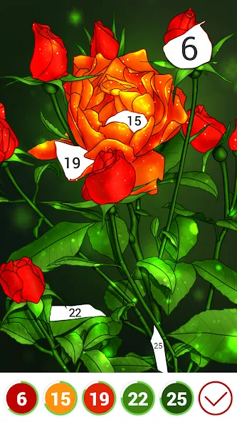 Hola Color--Coloring by Number — скриншот 4