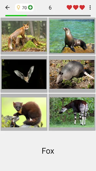 Animals Quiz Learn All Mammals — скриншот 2