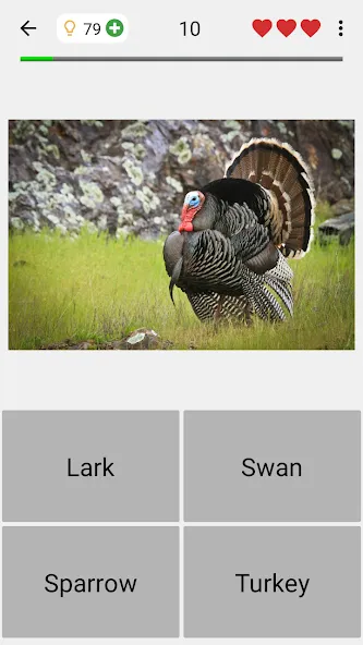 Animals Quiz Learn All Mammals — скриншот 4
