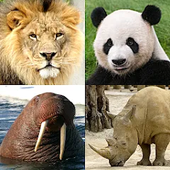 Animals Quiz Learn All Mammals — МОД Все уровни разблокированы