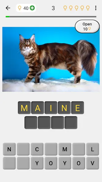 Cats Quiz Guess Popular Breeds — скриншот 1