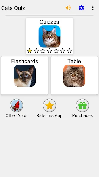 Cats Quiz Guess Popular Breeds — скриншот 3