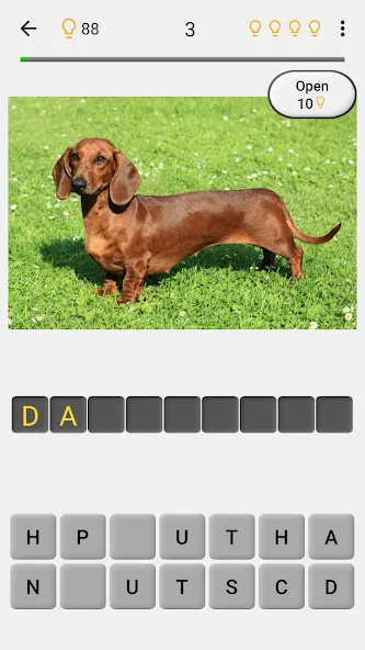 Dogs Quiz - Guess All Breeds! — скриншот 2