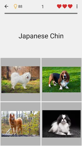 Dogs Quiz - Guess All Breeds! — скриншот 4