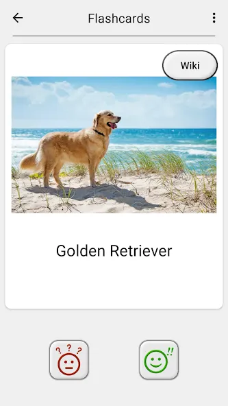 Dogs Quiz - Guess All Breeds! — скриншот 5