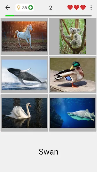 Guess Pictures and Words Quiz — скриншот 2
