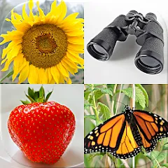 Скачать Guess Pictures and Words Quiz на Андроид — Все уровни разблокированы