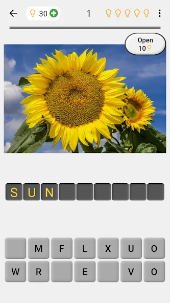 Flowers Quiz - Identify Plants — скриншот 1