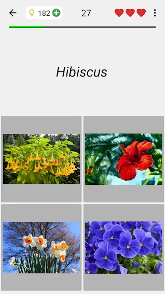 Flowers Quiz - Identify Plants — скриншот 4