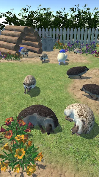Hedgehog Friends — скриншот 1 Hedgehog Friends — скриншот 1