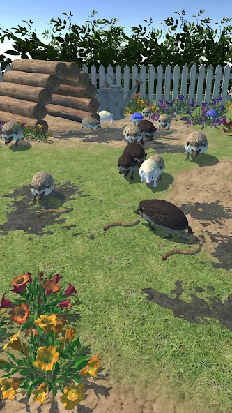 Hedgehog Friends — скриншот 2 Hedgehog Friends — скриншот 2