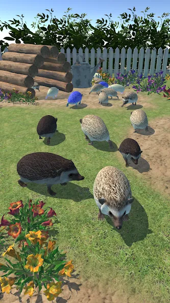 Hedgehog Friends — скриншот 3 Hedgehog Friends — скриншот 3