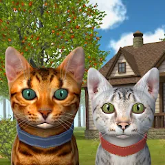 Скачать Cat Simulator : Kitties Family MOD APK — Много денег