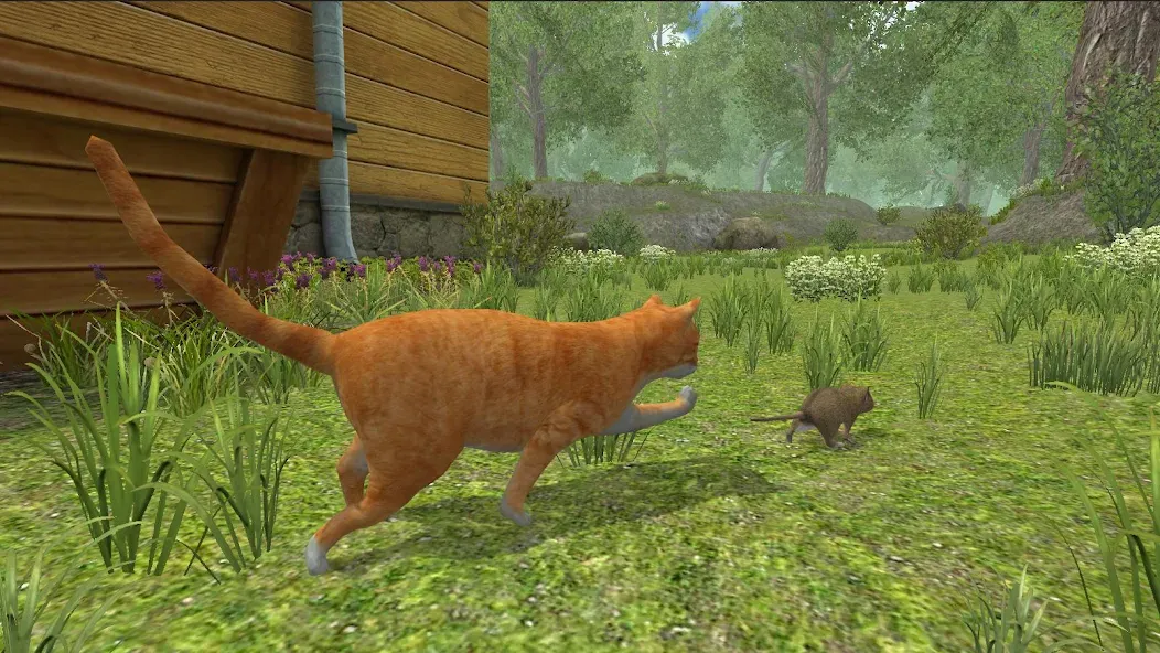Mouse Simulator : Forest Home — скриншот 3