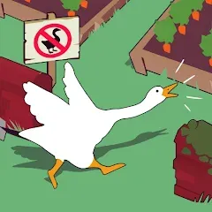 Взлом Crazy Goose Simulator — Много денег