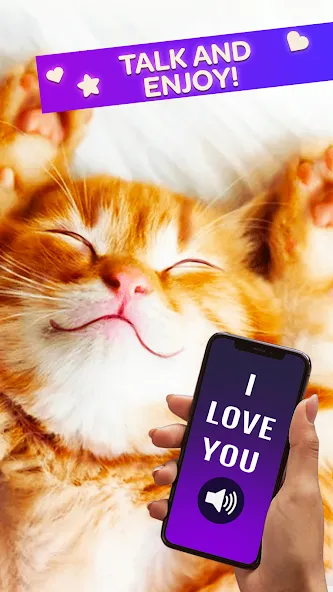 Cat Translator Pet Talk Meow — скриншот 3