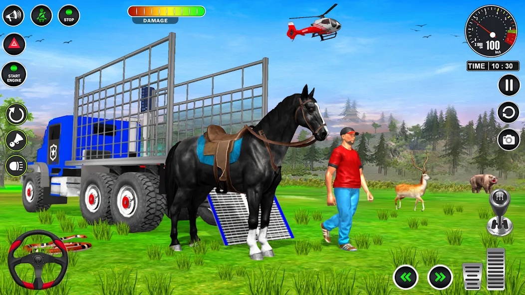 Animal Transport Truck Game 3D — скриншот 5