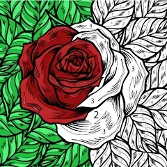 Color by Number: Coloring Book MOD — Все картинки разблокированы и без рекламы