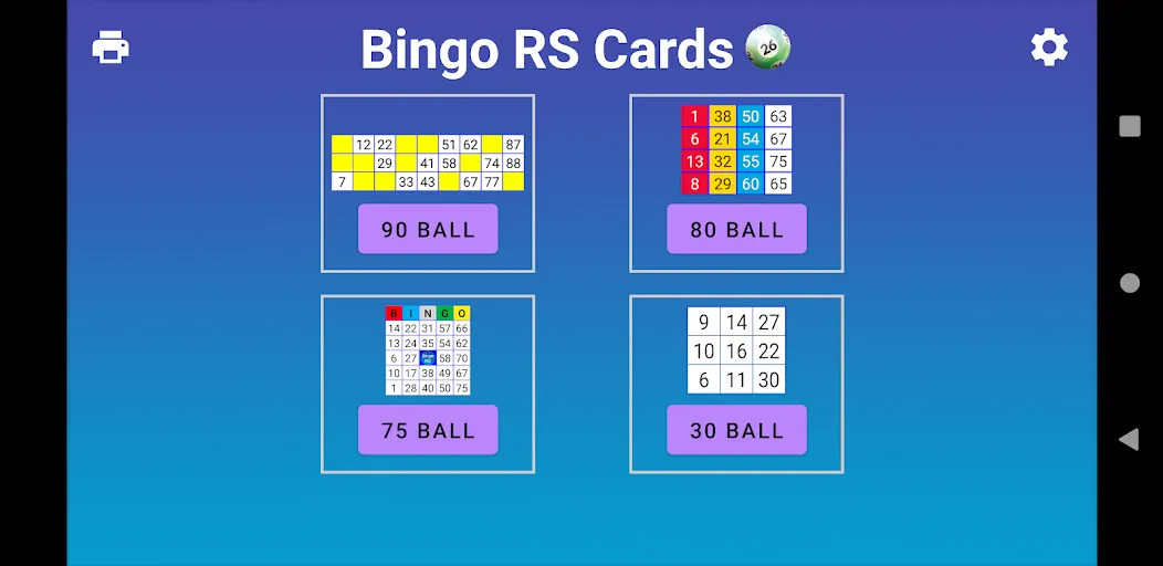 Bingo RS Cards — скриншот 1