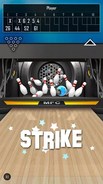 Bowling 3D Pro — скриншот 2