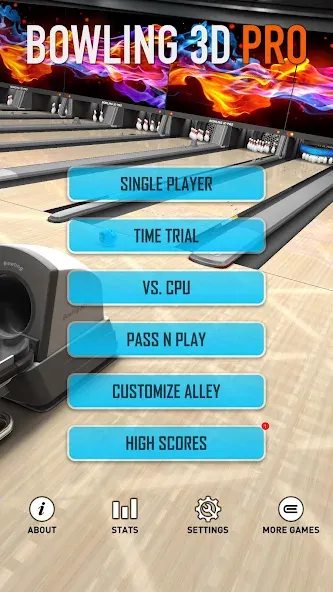 Bowling 3D Pro — скриншот 4