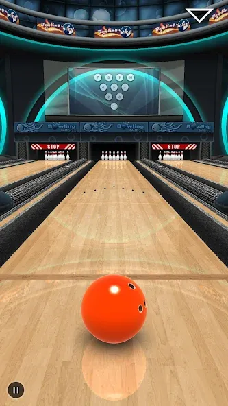 Bowling Game 3D — скриншот 1 Bowling Game 3D — скриншот 1