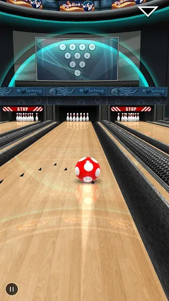 Bowling Game 3D — скриншот 5