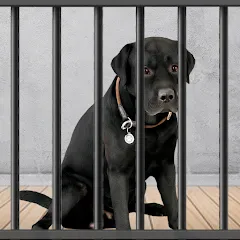 Animal Shelter: Pet Rescue 3D — Много денег