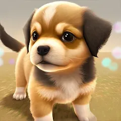 Dog Town: Puppy Pet Shop Games — Много денег