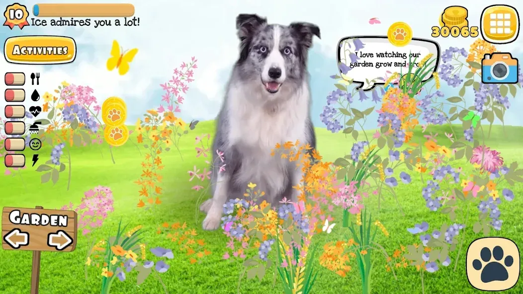 Adopt a pet : Corgi Games — скриншот 4