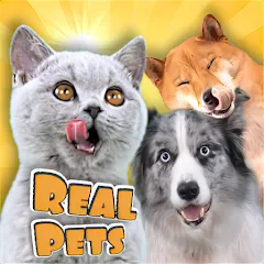 Adopt a pet : Corgi Games - Взлом Много денег