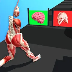 Скачать Human Run MOD — Много денег